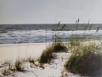 Ferienwohnung für 2 Personen (25 m²) in St. Peter-Ording 6/10