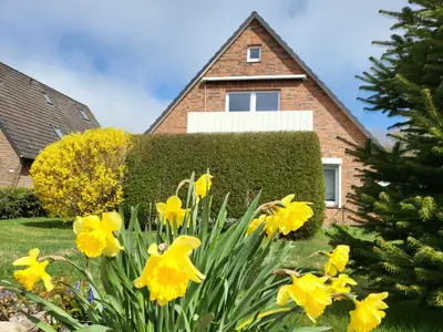 Ferienwohnung für 4 Personen (65 m²) in St. Peter-Ording 9/10