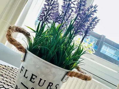 Ferienwohnung für 2 Personen (43 m²) in St. Peter-Ording 10/10