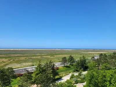 Ferienwohnung für 2 Personen (28 m²) in St. Peter-Ording 4/10