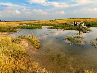 Naturschutzgebiet Wattenmeer