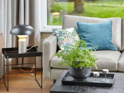 Sofa III Strandpirat