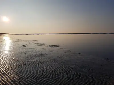 kurz bevor die Sonne untergeht