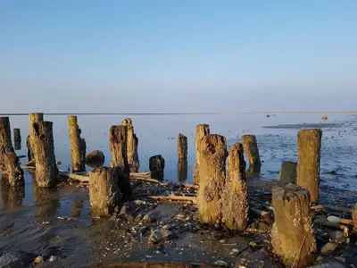 Wattenmeer