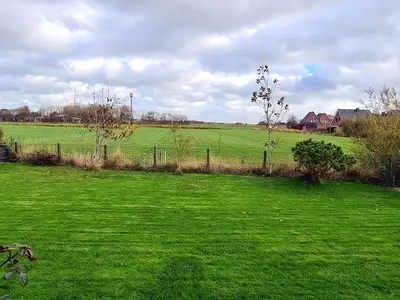 Wiese und Gartenhäuschen