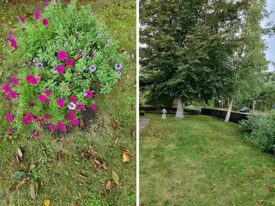 Garten