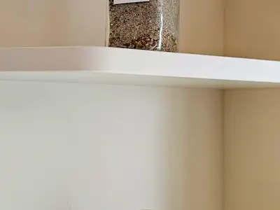 20250224_133813
