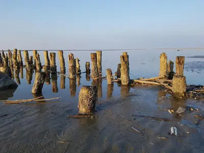 Wattenmeer
