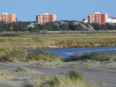 Blick vom Strand im Sommer