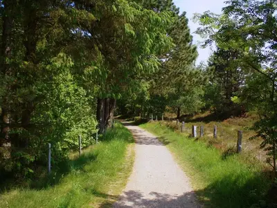 ferienwohnung-ufer-spazierweg-hund-02