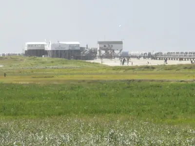 Blick über die Salzwiesen zum Pfahlbau