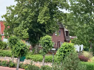 Ferienwohnung für 4 Personen (60 m²) in St. Peter-Ording