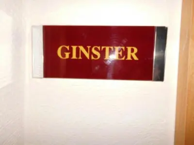 Ginter
