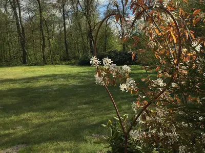 Gartenblick