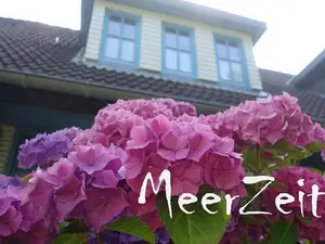 Ferienwohnung für 5 Personen (75 m²) in St. Peter-Ording
