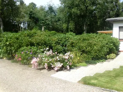 Weg zu den Ferienwohnungen