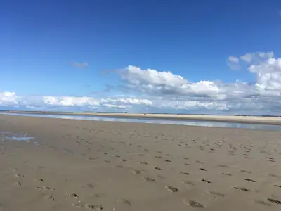 Westerhever