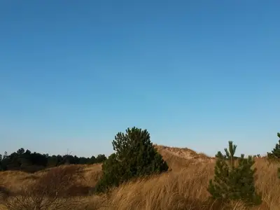 Dünen im Bad 20141228
