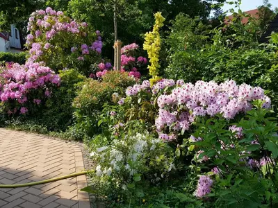 Gartenpracht