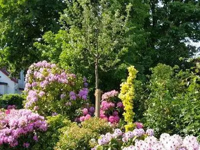 schön angelegter Garten