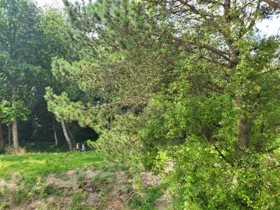 Ferienwohnung für 4 Personen (64 m²) in St. Peter-Ording 10/10