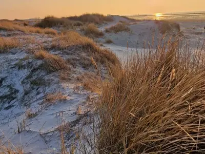 Ferienwohnung für 4 Personen (40 m²) in St. Peter-Ording 9/10