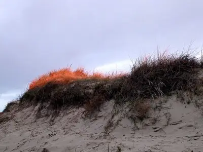 Ferienwohnung für 4 Personen (41 m²) in St. Peter-Ording 8/10