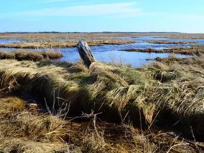 Ferienwohnung für 2 Personen (45 m²) in St. Peter-Ording 7/10