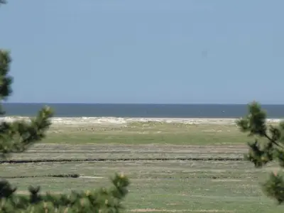Ferienwohnung für 5 Personen (58 m²) in St. Peter-Ording 7/10
