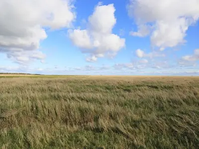 Ferienwohnung für 3 Personen (50 m²) in St. Peter-Ording 5/10