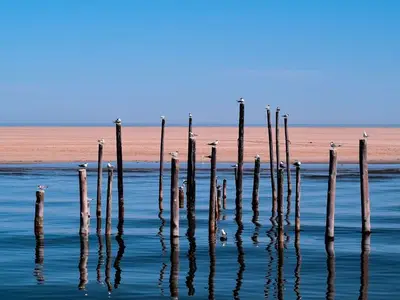 Ferienwohnung für 2 Personen (42 m²) in St. Peter-Ording 9/10