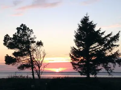 Ferienwohnung für 2 Personen (49 m²) in St. Peter-Ording 6/10