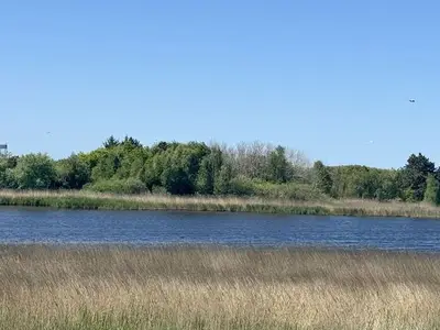 Ferienwohnung für 5 Personen (69 m²) in St. Peter-Ording 7/10
