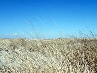 Ferienwohnung für 4 Personen (65 m²) in St. Peter-Ording 9/10