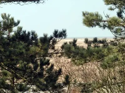 Ferienwohnung für 2 Personen (40 m²) in St. Peter-Ording 1/10