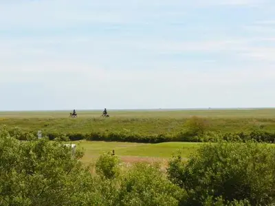 Ferienwohnung für 3 Personen (45 m²) in St. Peter-Ording 4/10