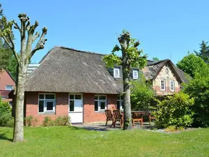 Ferienwohnung für 5 Personen (50 m²) in St. Peter-Ording