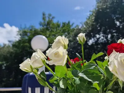 Ferienwohnung für 4 Personen (60 m²) in St. Peter-Ording 10/10