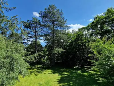 Ferienwohnung für 2 Personen (42 m²) in St. Peter-Ording 4/10
