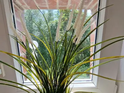 Ferienwohnung für 4 Personen (60 m²) in St. Peter-Ording 8/10