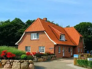 Ferienwohnung für 4 Personen (40 m²) in St. Peter-Ording