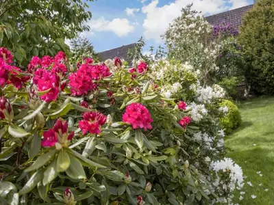 Ferienwohnung für 2 Personen (35 m²) in St. Peter-Ording 3/10