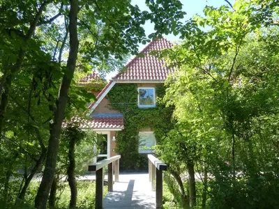 Ferienwohnung für 3 Personen (45 m²) in St. Peter-Ording 2/10