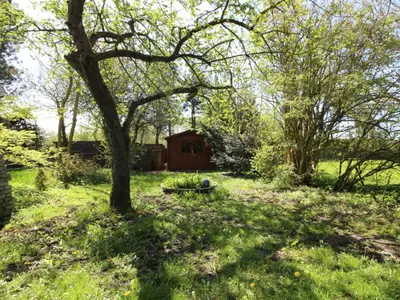 GardenSummer
