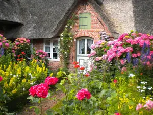 Ferienwohnung für 2 Personen (27 m²) in St. Peter-Ording