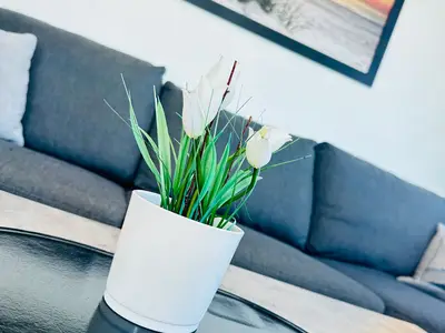 Ferienwohnung für 2 Personen (40 m²) in St. Peter-Ording 3/10