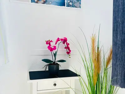 Ferienwohnung für 2 Personen (40 m²) in St. Peter-Ording 6/10