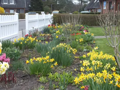 Der Frühling ist da