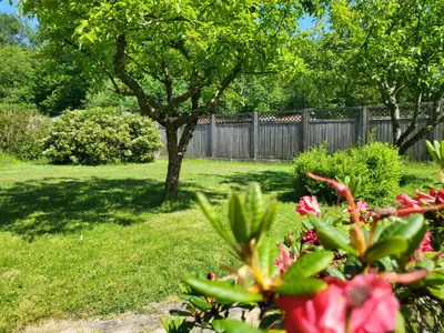 Ferienwohnung für 2 Personen (14 m²) in St. Peter-Ording 6/10