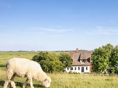 The Shepherdīs Coastal House 059-hochkant_komprimi